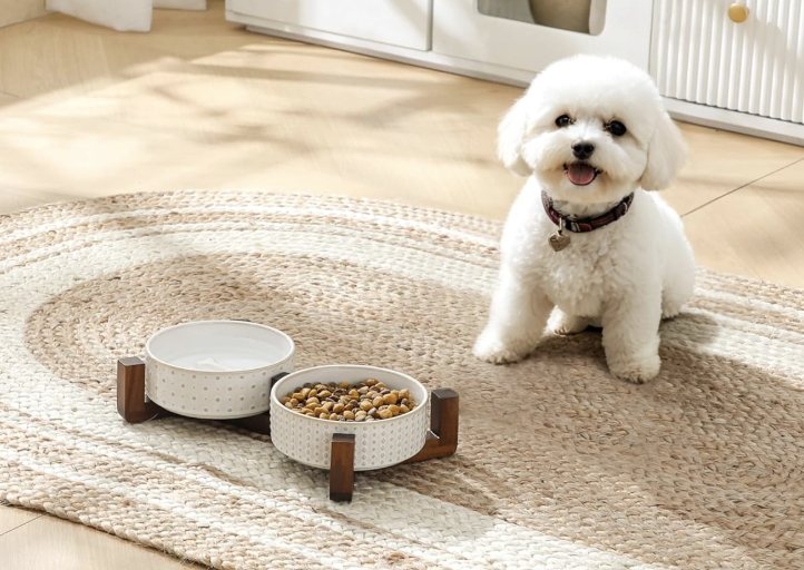 MALACASA ceramic weighted non-slip dog bowls with a small white dog