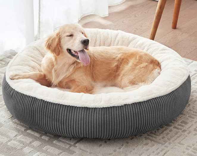 BedStill donut dog bed with a golden retriever resting inside